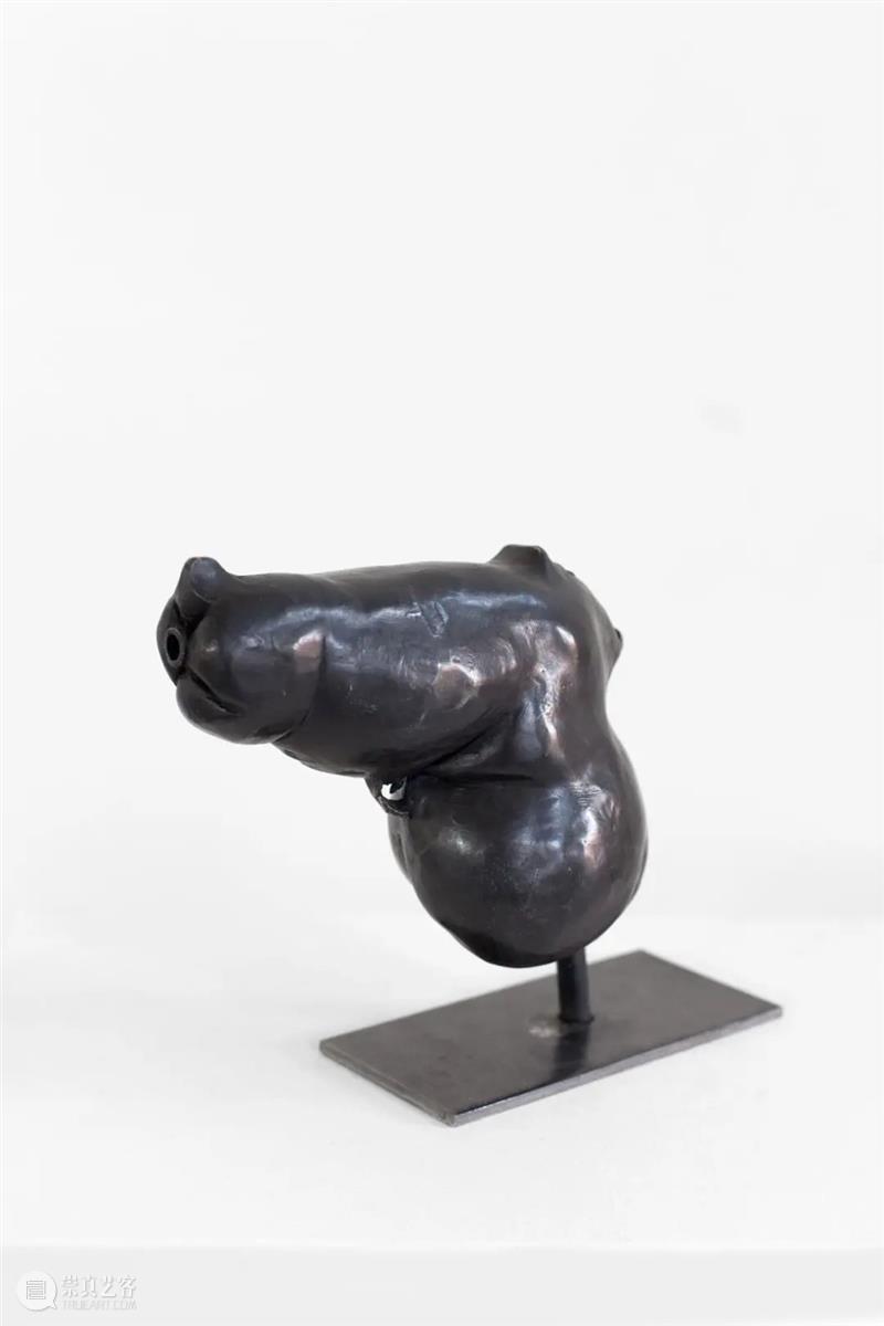 艺术家 | 欧文·沃姆 Erwin Wurm 博文精选 Thaddaeus Ropac 欧文 沃姆 Wurm 艺术家 作品 问题 雕塑 概念 日常生活 时代 崇真艺客